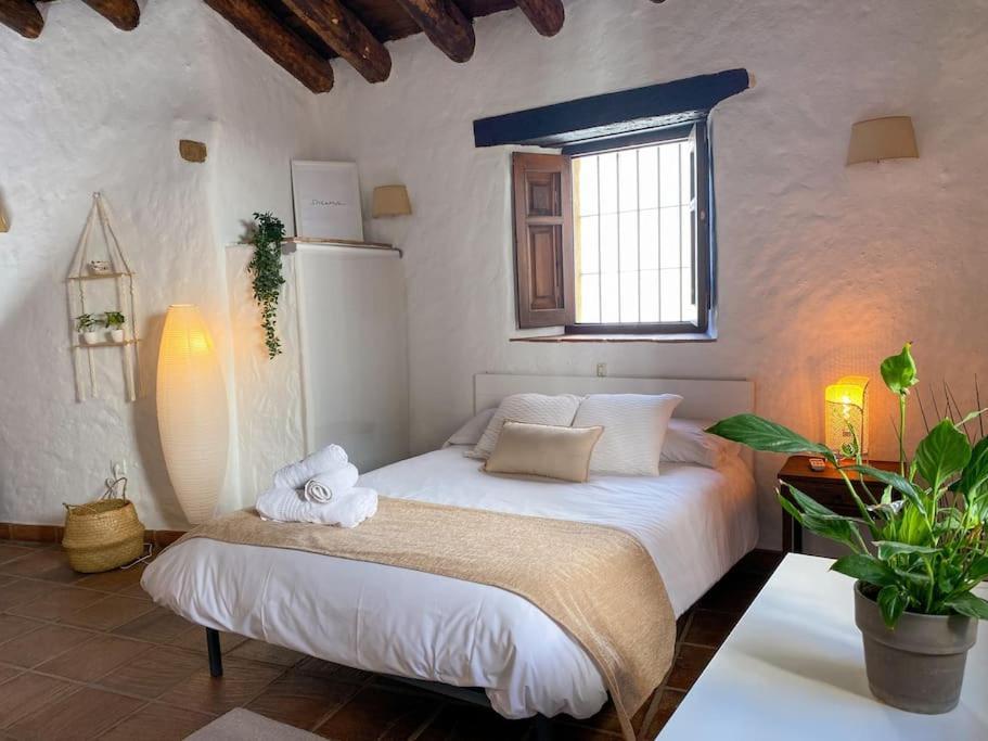Casabenadalid. Casa Rural Con Piscina. Eksteriør bilde